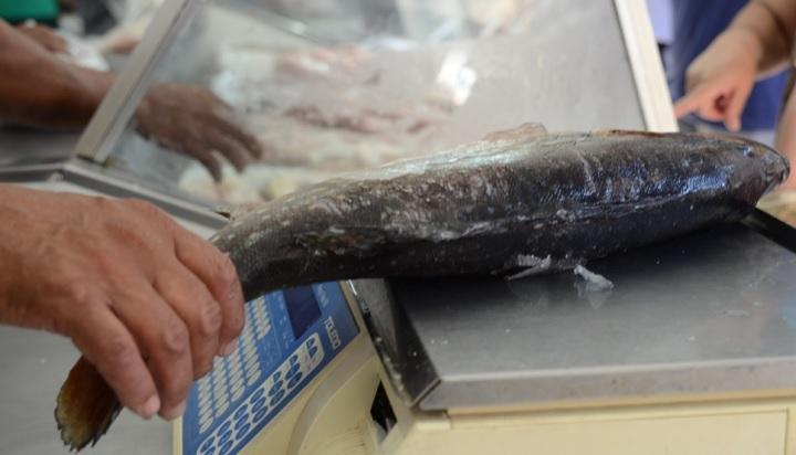 Tradicional opção para os adeptos ao período de abstinência da carne, peixe apresenta aumento no consumo (Foto/Arquivo JM)