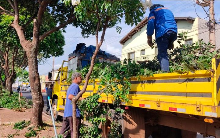 Funcionários da empresa Verdan, vencedora da licitação, está promovendo a supressão de árvores em risco (Foto/Divulgação/Prefeitura de Uberaba)