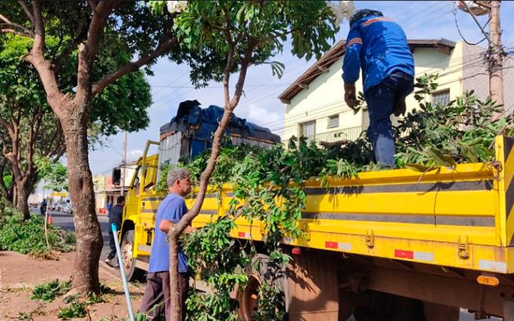 Semam promove atividades de conscientização durante todo o ano, mas concentra esforços em duas datas simbólicas (Foto/Divulgação/Prefeitura de Uberaba)