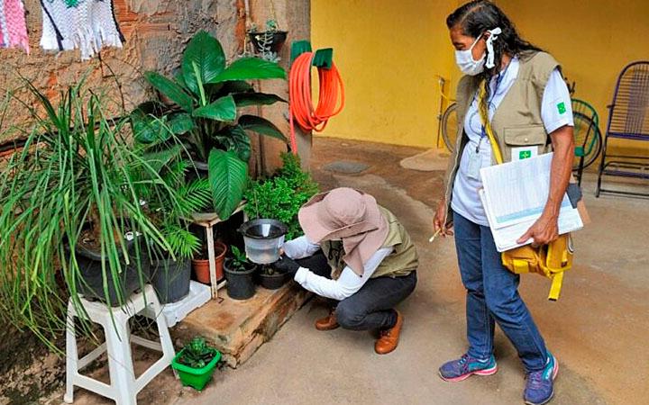 Agentes de zoonoses promovem o combate do mosquito transmissor da dengue, mas número de casos está crescendo (Foto/Reprodução) ( )