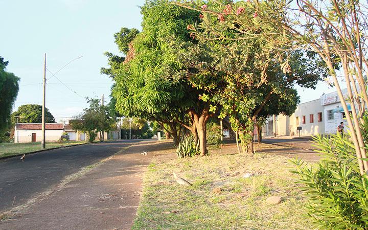 Além do Girassóis 4, também será construido um parque linear no bairro Boa Vista (Foto/Jairo Chagas)