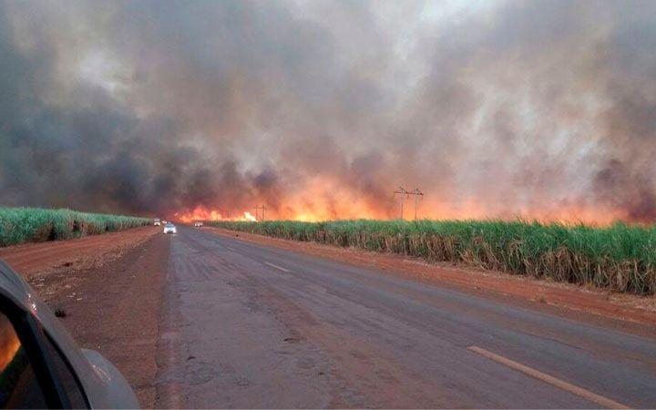 O estado registra 2.039 foco de queimada em 2022 (Foto/ArquivoJM) ( )