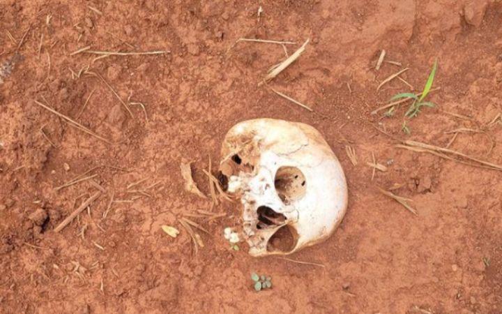 Os ossos foram encontrados no chão (Divulgação/PCMG)