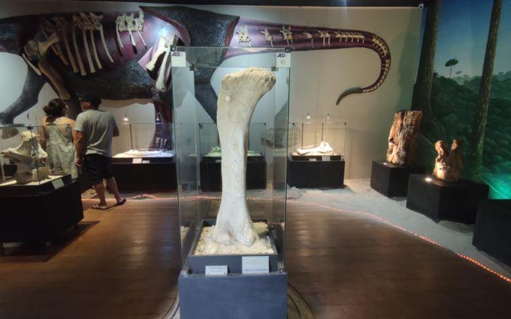 Parques, museus e programação esportiva ajudam famílias a aproveitar o recesso com atividades ao ar livre e educativas (PROEXT/Divulgação/UFTM)