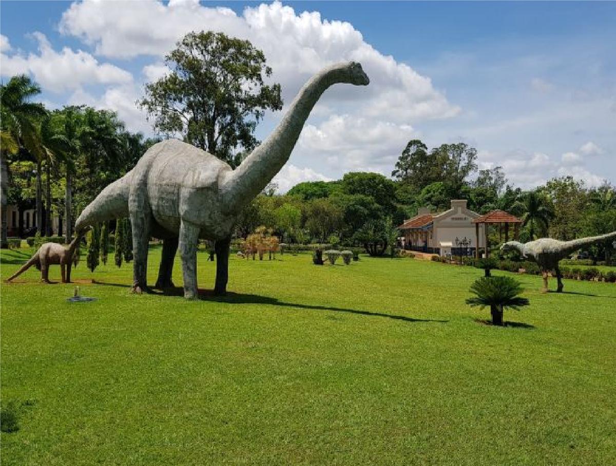 Deficientes visuais poderão acessar as informações dos objetos contidos no Museu e dos patrimônios geológicos e culturais (Foto/Reprodução)