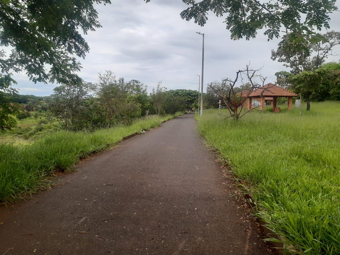 Vias do piscinão estão com mato alto (Foto/Jairo Chaga)