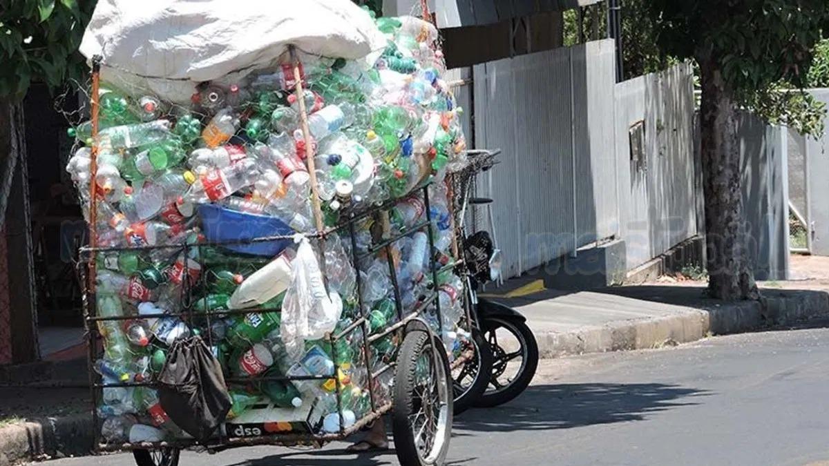 Catador de recicláveis (Foto/Ilustrativa)