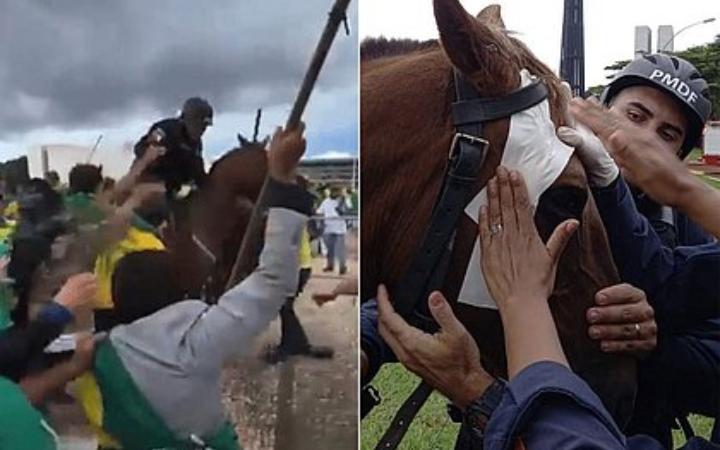 Drácula foi atacado por manifestantes durante invasão a prédios públicos em Brasília (Foto/Reprodução)