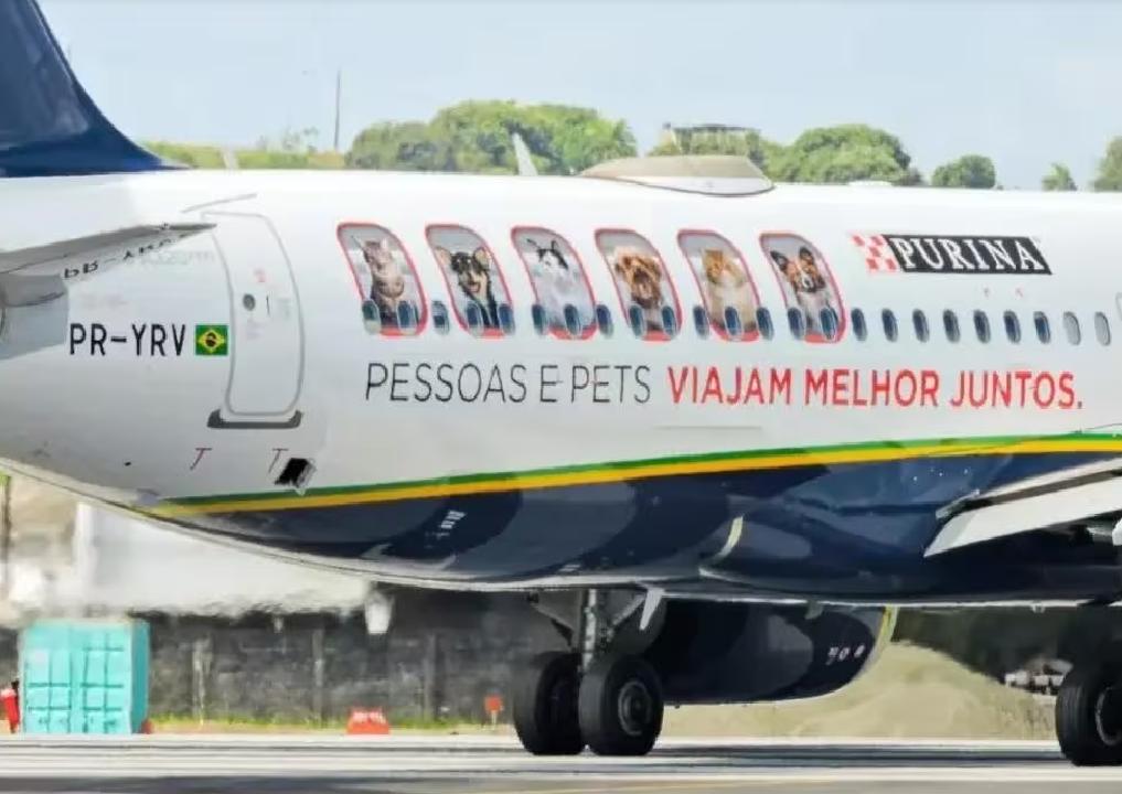 Peso máximo de cães e gatos transportados em aviões da Azul vai passar de 7kg para 10kg (Foto/Carlos Eduardo Guedes/Divulgação)