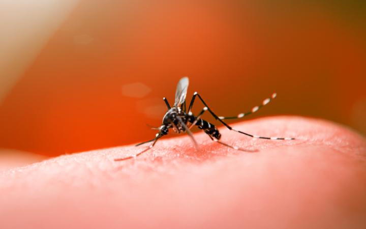 No último boletim emitido pela SES-MG, Uberaba registrava 1.246 novos prováveis casos de dengue (Foto/Reprodução)