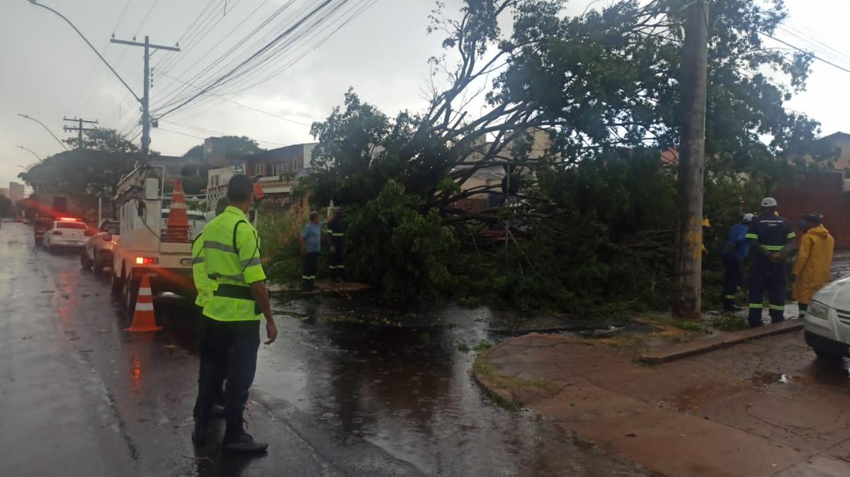 Queda ocorreu na  Avenida da Saudade (Foto/Leitor JM)