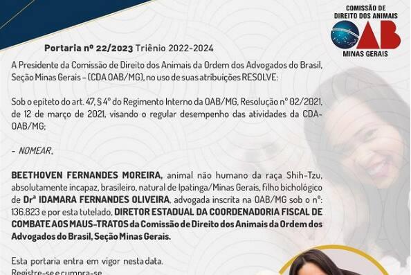 Memorando da OAB/MG (Foto/Reprodução)