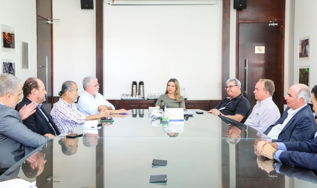 Encontro realizado no gabinete da prefeita Elisa Araújo teve a presença de integrantes da Gasmig e de investidores da área de termoelétrica, além do ex-prefeito Anderson Adauto  (Foto/Divulgação/PMU)