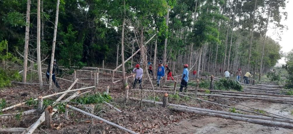 MST invade três fazendas produtivas em protesto contra suposto uso excessivo de agrotóxicos (Foto/Divulgação MST - via Veja.com.br)