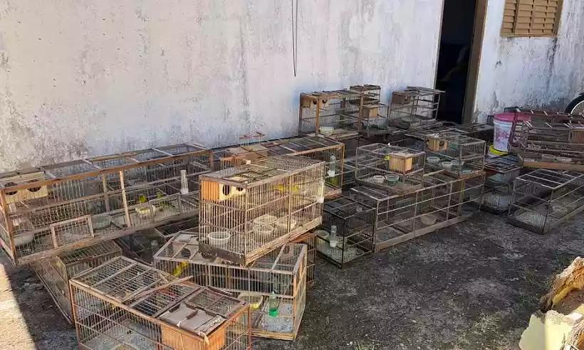 O dono do imóvel não tinha licença em dia (Foto/Reprodução)