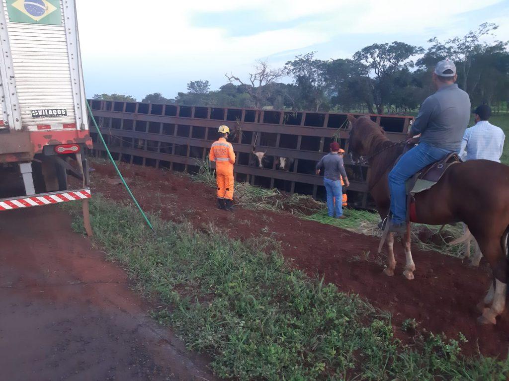 Carreta tombada com gado (Foto/Divulgação)