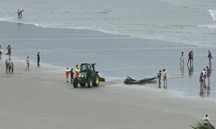 Destroços da embarcação sendo recolhidos na praia (Foto/Reprodução)