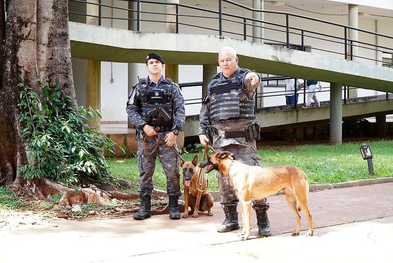 Animais serão os primeiros a ser incorporados à Guarda daquele município, sendo que Uberaba já é referência nesse tipo de atuação  (Foto/Divulgação)