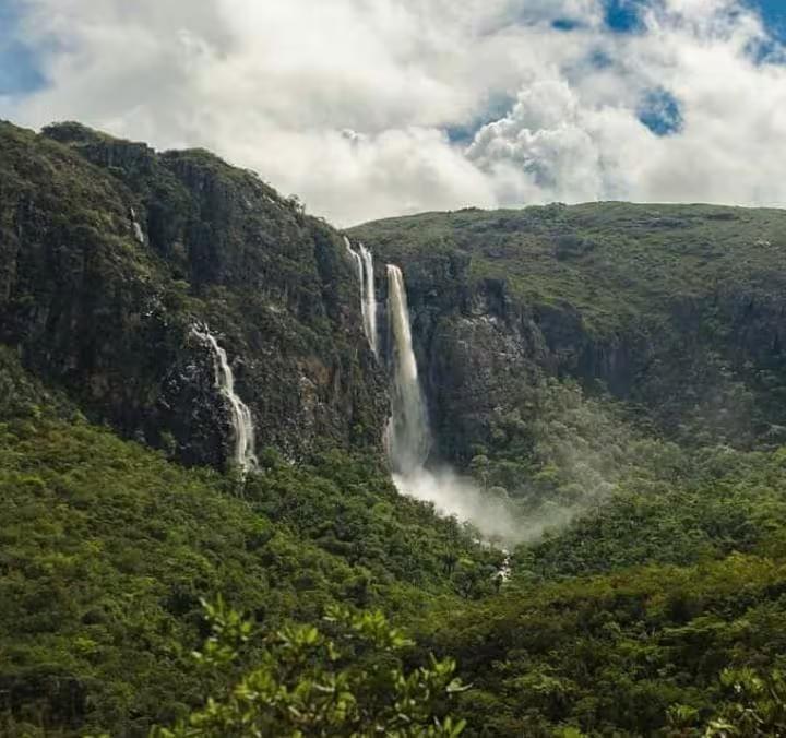 (Foto/Divulgação)