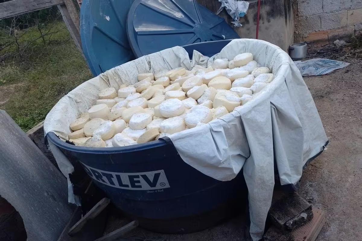 Queijos eram acondicionados sem qualquer cuidado com a higiene, sendo lavados antes de serem vendidos em grandes centros  (Foto/PMMG/Divulgação)