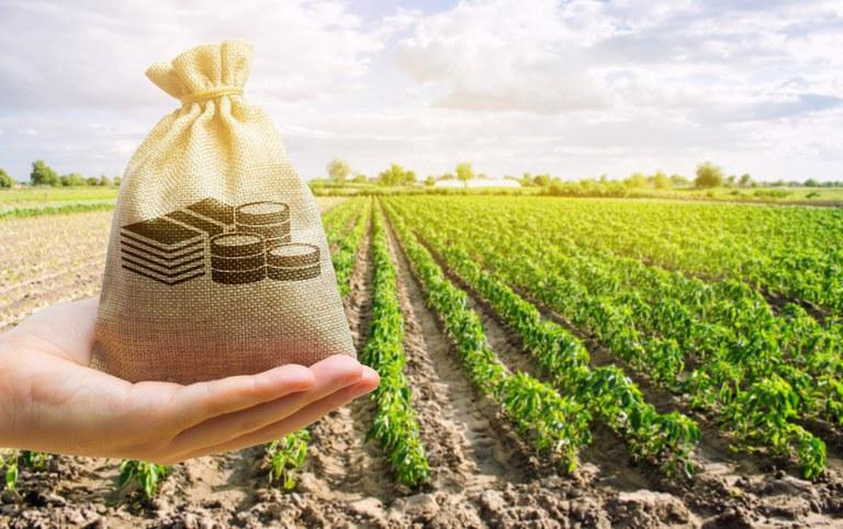 BNDES e Agricultura anunciam linha em dólar com taxa fixa para financiar investimentos do agro (Foto/Reprodução)