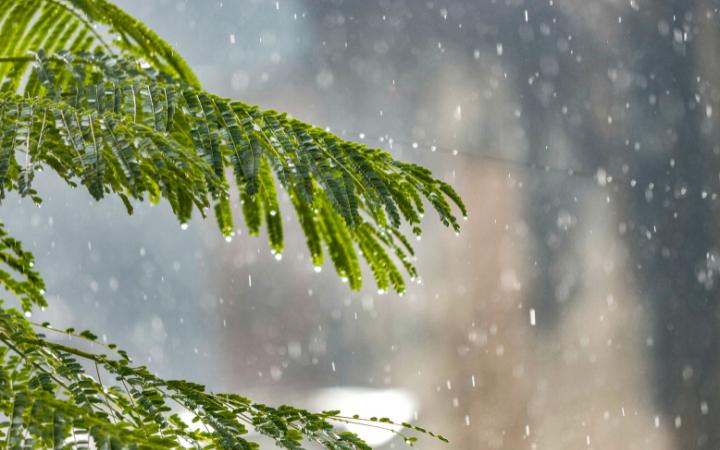 Temperaturas podem subir nesta sexta e chuvas podem chegar no sábado (Foto/Divulgação)