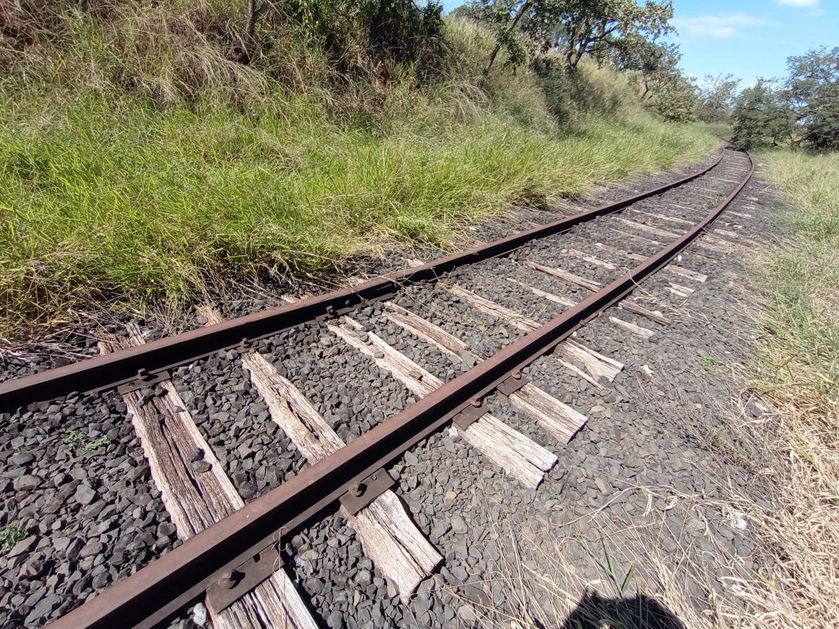 Ferrovia no Distrito Industrial 2 (Foto/Jairo Chagas)