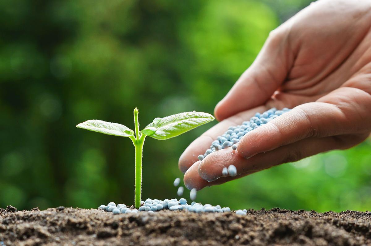 Agricultura (Foto/Divulgação)