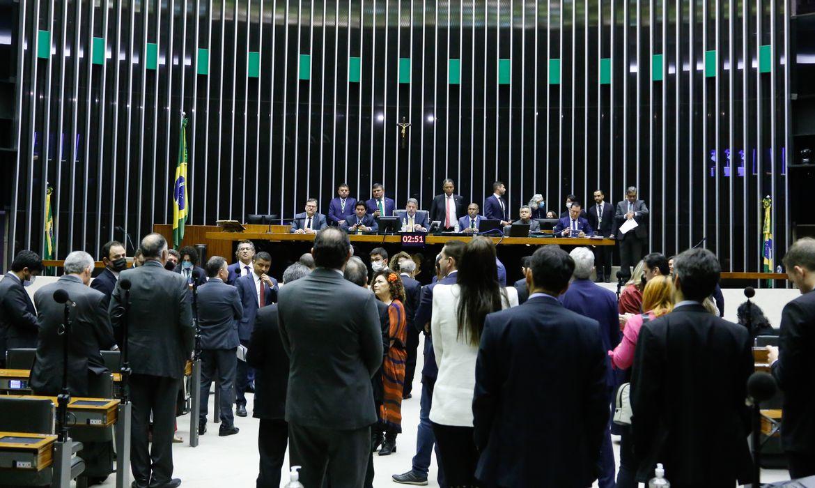  (Foto/Elaine Menke/Câmara dos Deputados)