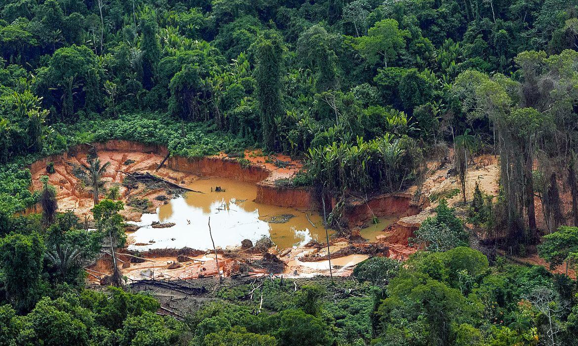 Terra Yanomami (Foto/Leo Otero/MPI)