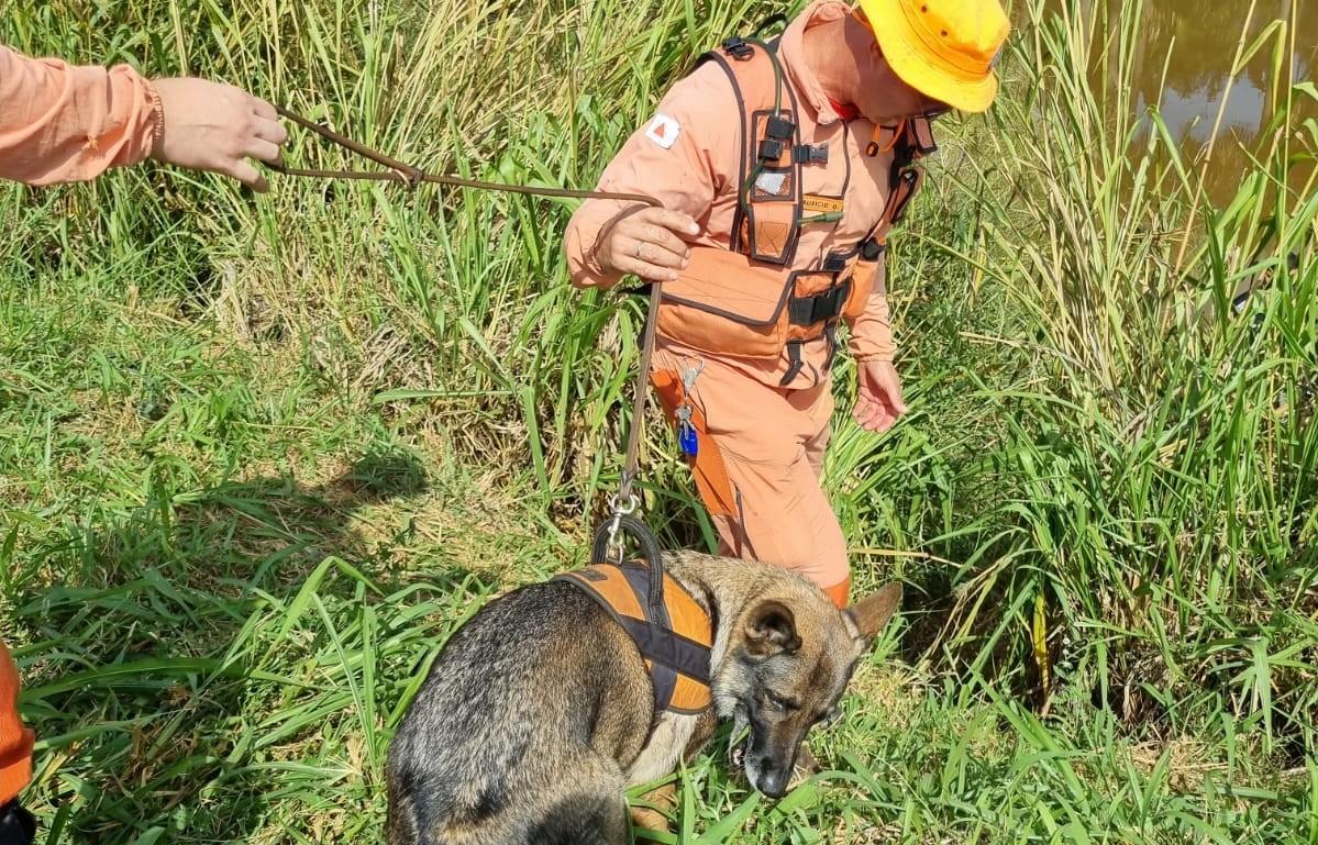 Equipes da Polícia Civil e dos bombeiros, com a ajuda de cães de busca, localizaram o corpo em lagoa à margem da rodovia (Foto/Divulgação)