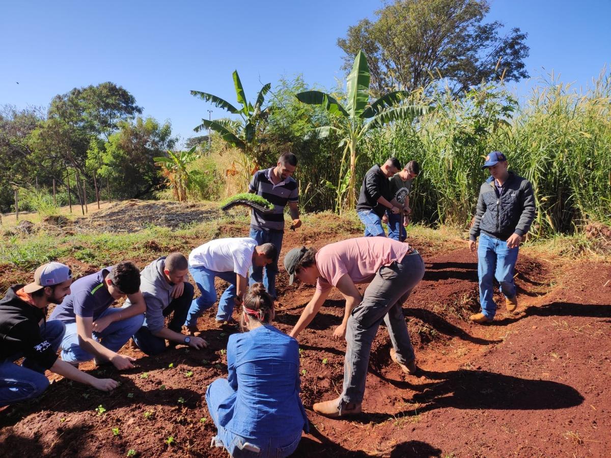 Alunos dos cursos da Fazu desenvolvem projetos de hortas comunitárias em Centro Espírita e duas escolas públicas (Foto/Divulgação)