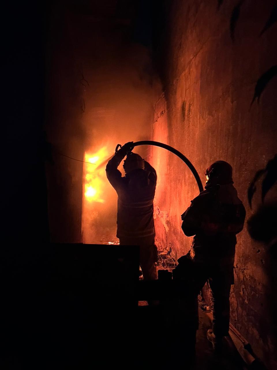 Corpo de Bombeiros resgatou do local em chamas, um gato (Imagem Ilustrativa) (Foto/Corpo de Bombeiros)