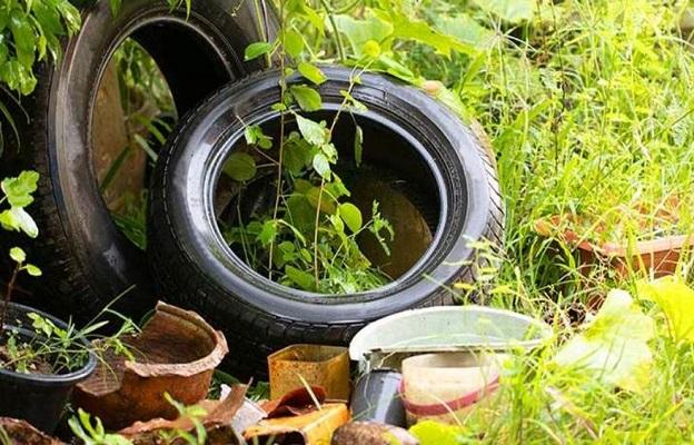 Os principais focos do mosquito na cidade são vasos de planta, pratos, frascos com plantas, bebedouros de animais, fontes ornamentais e outros depósitos móveis (Foto/Reprodução)