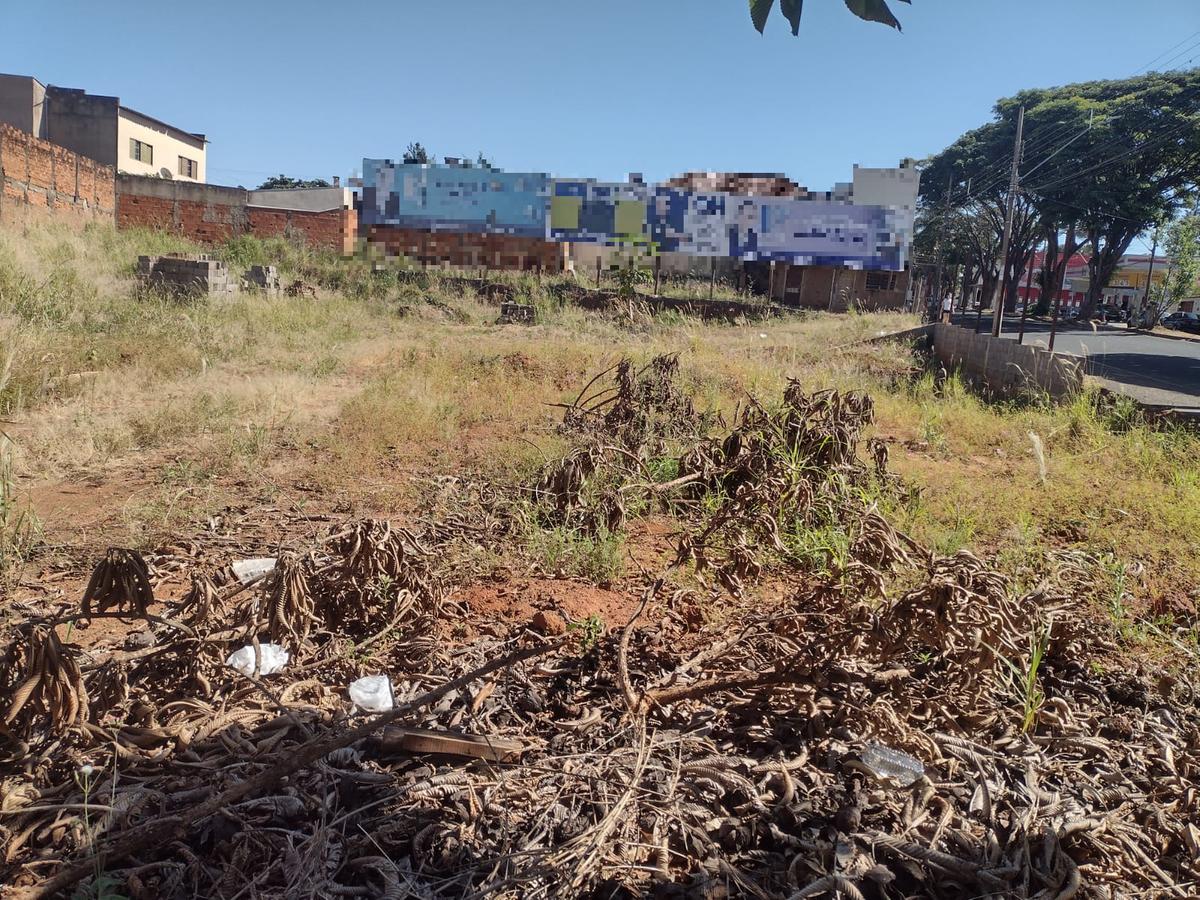 Enquanto a Prefeitura de Uberaba quer acabar com uma horta na rua José Vieira do Nascimento, Parque dos Buritis, esse terreno na rua Tiradentes, quase no Centro de Uberaba, está tomado pelo mato e se tornando um lixão (Foto/Divulgação)