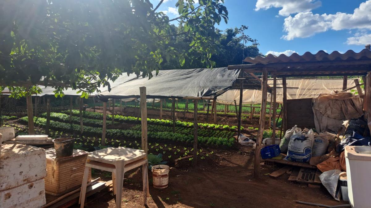 O horticultor afirma estar no local há cerca de oito anos, de forma autorizada (Foto/José Mardone Ferraz)