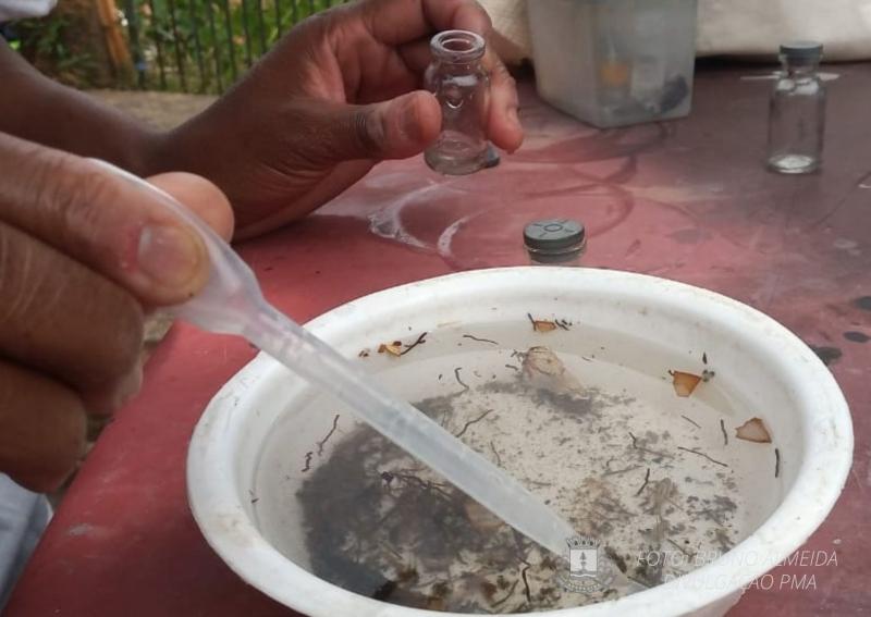 Levantamentos rápidos da infestação do mosquito transmissor da dengue, zica e chikungunya são realizados pela SRS em todos os municípios (Foto/Reprodução)