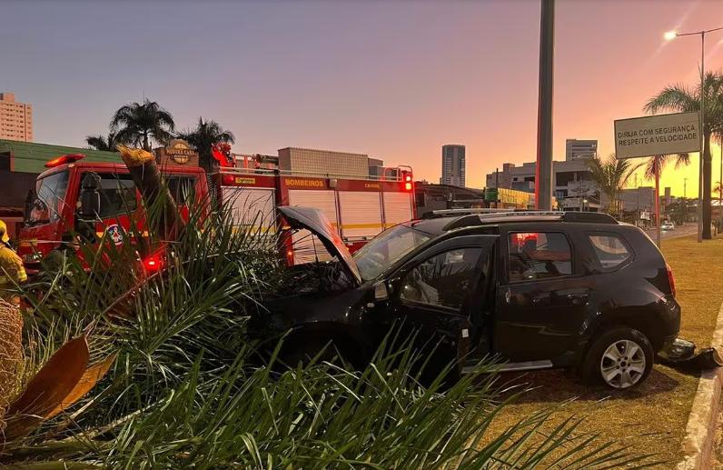 Com o impacto do veículo, a palmeira partiu ao meio; condutor teve trauma na cabeça (Foto/Divulgação/Corpo de Bombeiros de Minas Gerais)