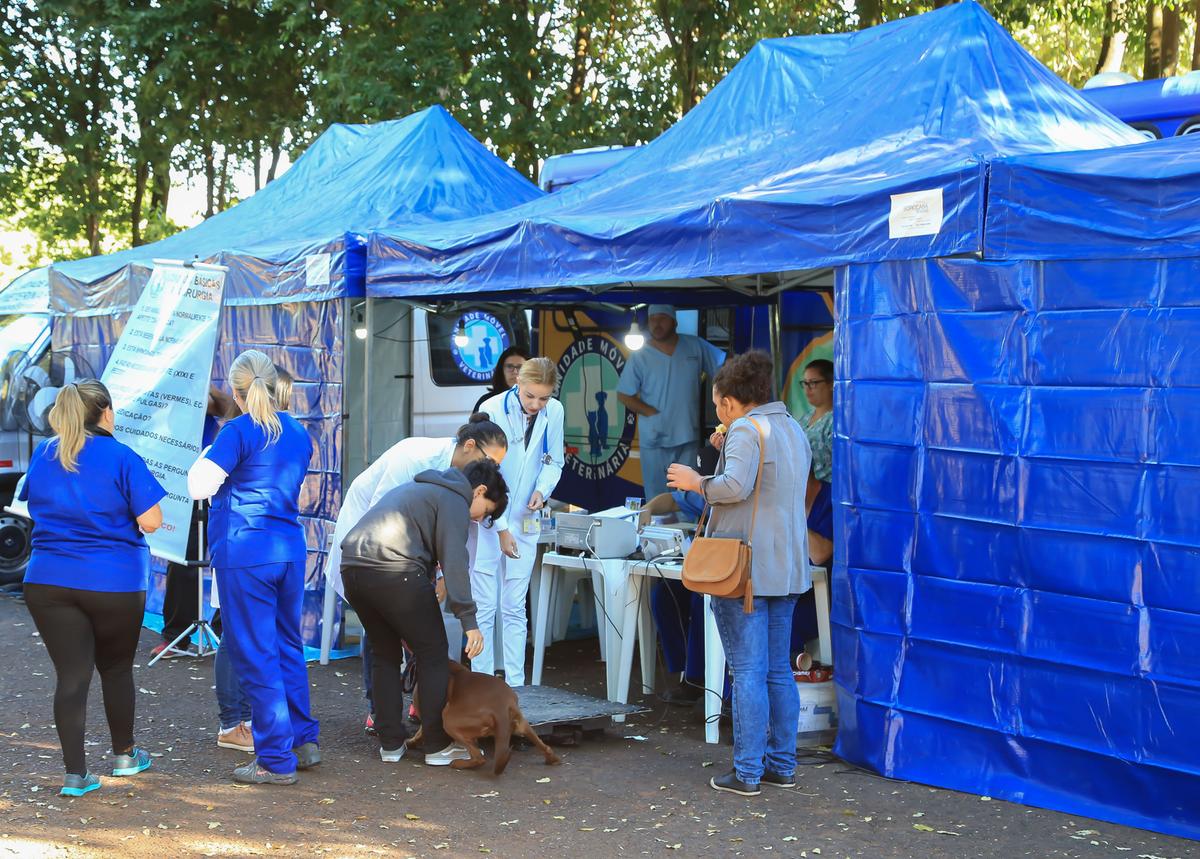 A ação será no estacionamento do Hospital Veterinário da Uniube (HVU), na Avenida do Tutuna, nº 720, Vila Celeste (Foto/Divulgação)