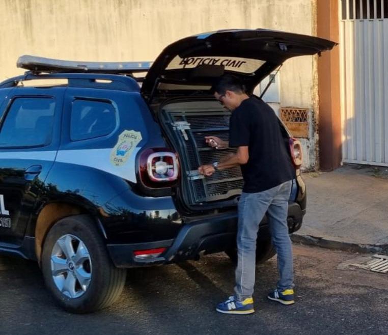 Policiais civis prenderam um homem considerado de altíssima periculosidade. Ele confessou quatro homicídios, roubo e latrocínio todos no estado de São Paulo, mas estava morando em Uberaba (Foto/Divulgação)