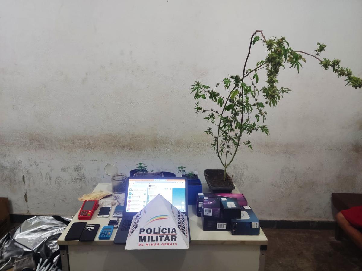 Além dos pés de maconha cultivados pelo suspeito, vários outros objetos foram apreendidos em sua casa (Foto/Divulgação)