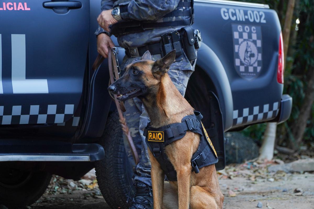 Guarda Civil Municipal, em Uberaba (Foto/Divulgação PMU)