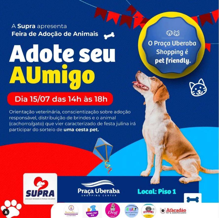 Feira de adoção da Supra (Foto/Divulgação)