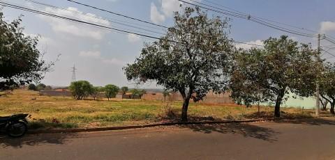 Terreno com mais de 14 mil metros quadrados, no Jardim Eldorado, em Uberaba (Foto/Reprodução)