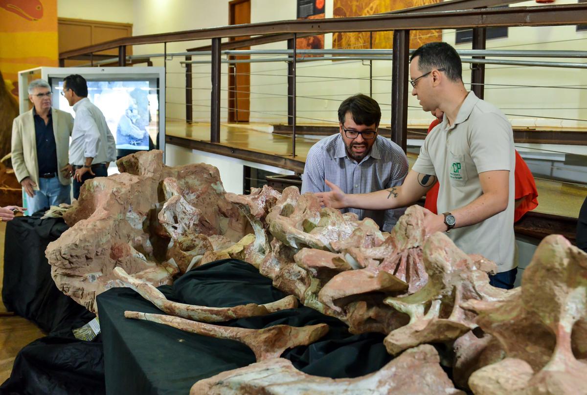 A riqueza paleontológica de Peirópolis pôde ser constatada no museu pelos visitantes (Foto/Divulgação PMU)