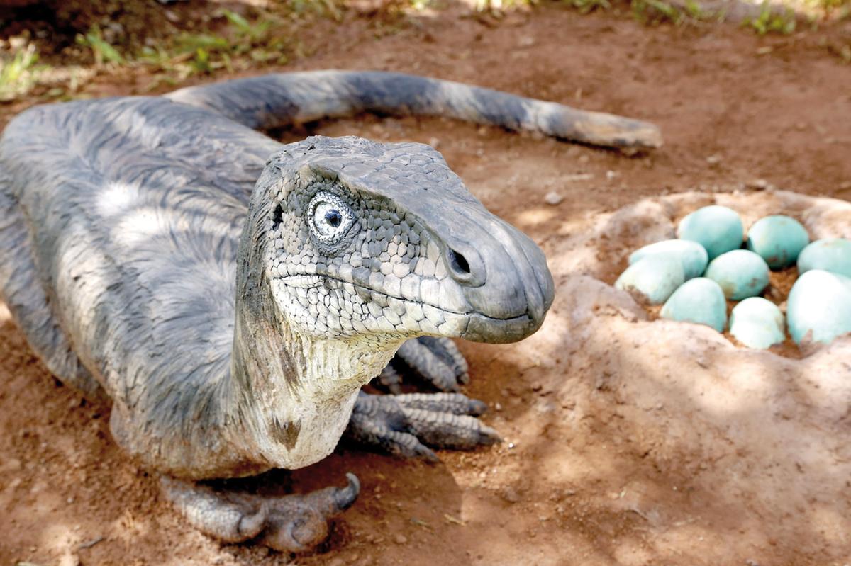 Maniraptora (Foto/Divulgação)