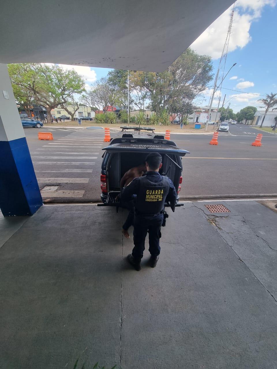 O jovem foi contido por guardas municipais, que lhe tomaram o facão e o conduziram à Delegacia de Polícia  (Foto/Divulgação)