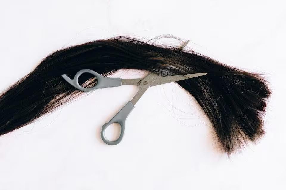Imagem ilustrativa de corte de cabelo (Foto/Pexels)