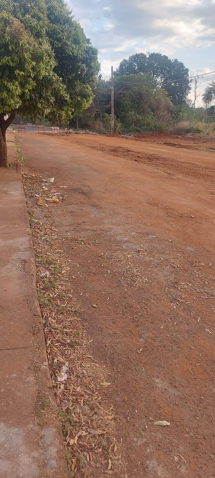 O asfalto praticamente desapareceu e restou muita sujeira na avenida Niza Marques Guaritá, no Manoel Mendes. (Foto/Reprodução)