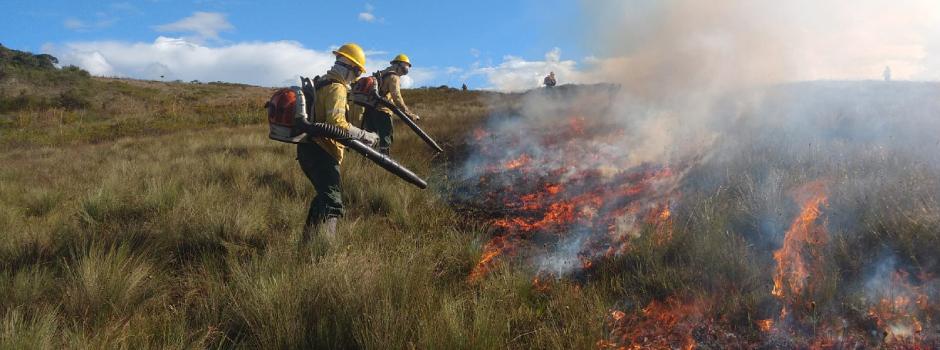 IEF está alertando suas equipes e mobilizando mais aviões para fazer o combate às chamas (Foto/Divulgação)